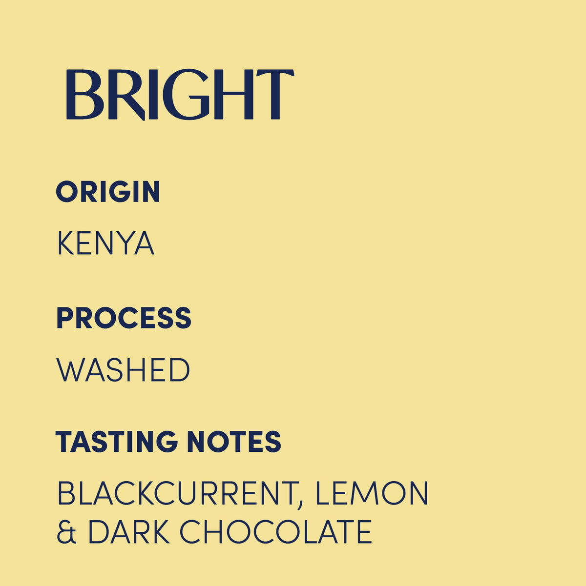 Kenya Rungeto Roasted Coffee Beans Description