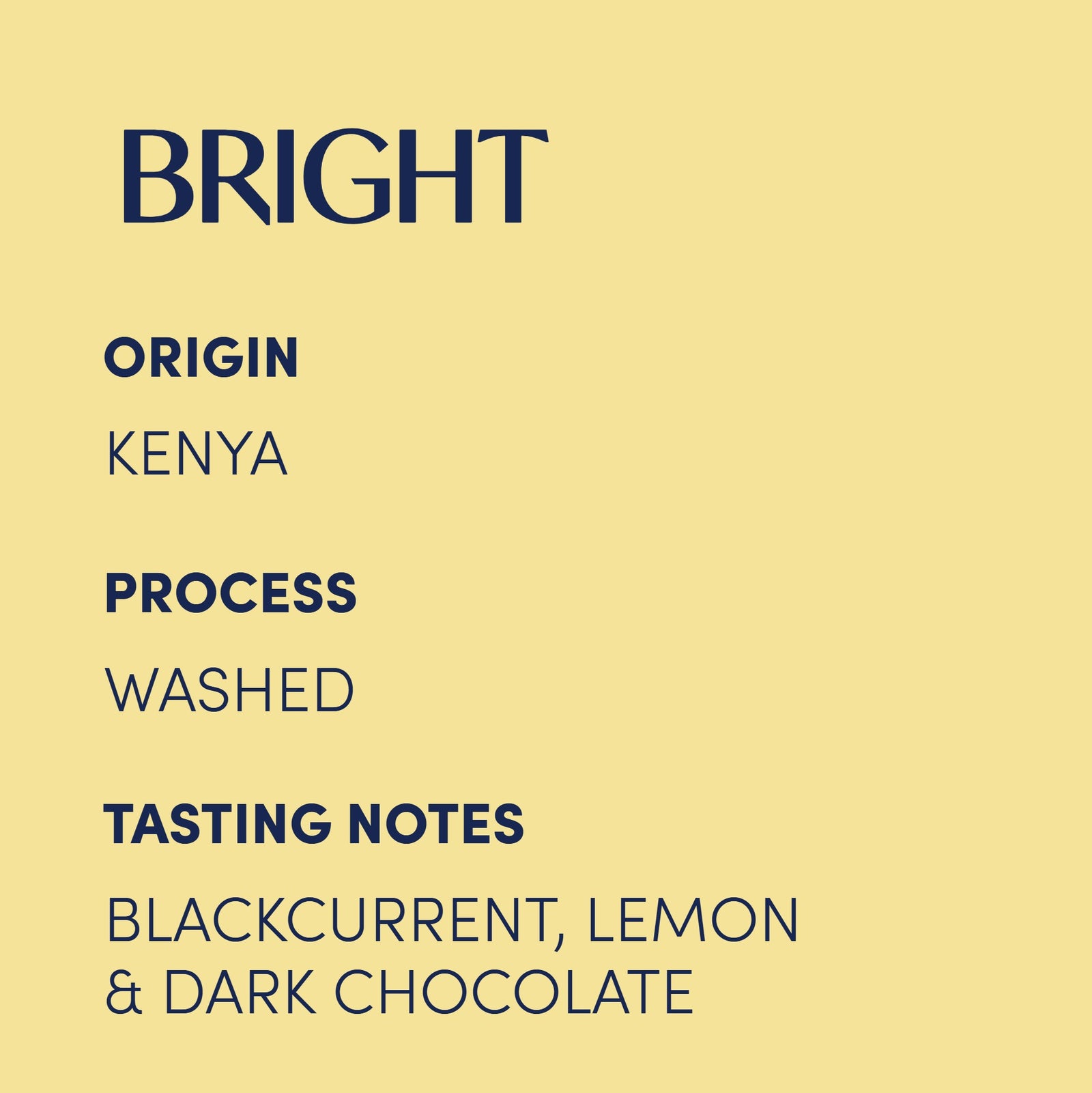 Kenya Rungeto Roasted Coffee Beans 300g bag